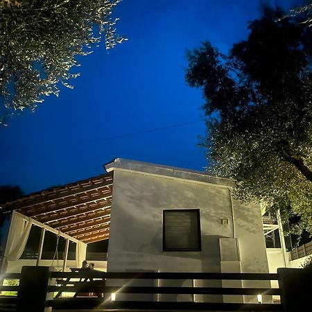 Joyas cosy apartment Tragaki Exterior foto